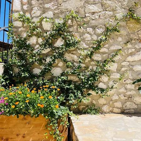 Near The Castle Of