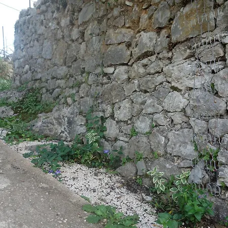 Near The Castle Of Gasthuis