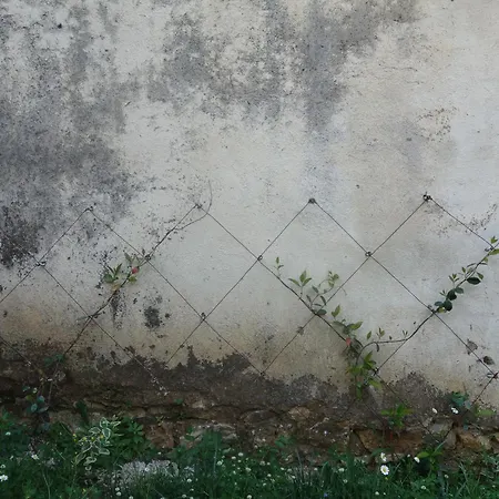 بيت ضيافة Near The Castle Of هيماري