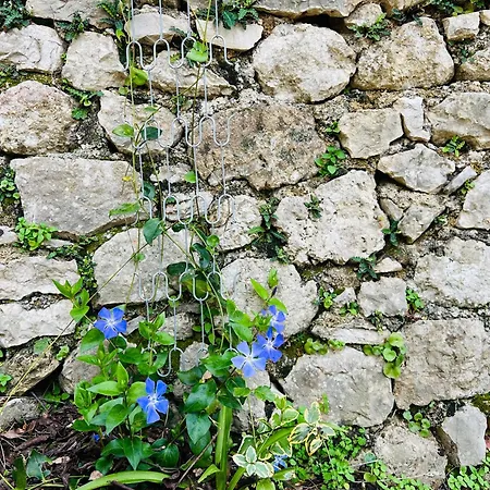 Near The Castle Of 4*